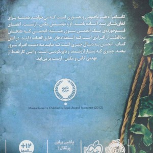 اگر داری این کتاب را می خوانی کار از کار گذشته