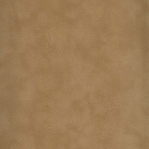 سلطان خراسان