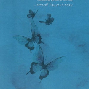 بدون بال پرواز کن