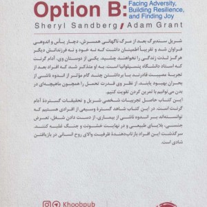 مسیر جایگزین