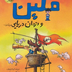 فلین و دزدان دریایی