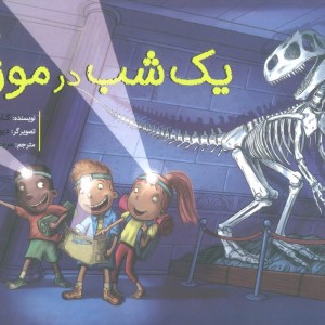 یک شب در موزه