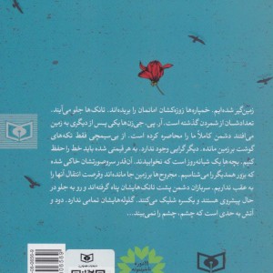 یک پسر و دو مادر