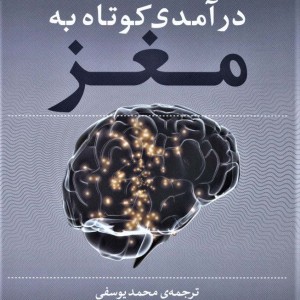 درآمدی کوتاه به مغز