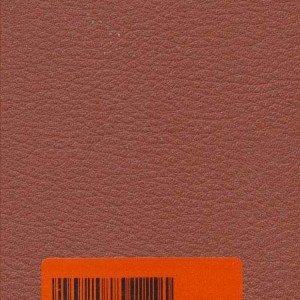 کتاب دیوان حافظ با فال ترمو لب طلایی پالتوئی
