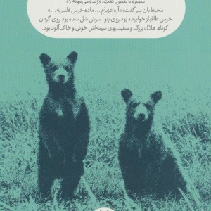 خرس ماه
