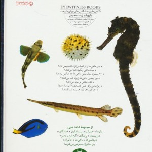 ماهی ها نشر فنی ایران