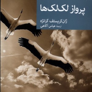 پرواز لک لک ها