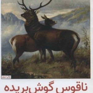 ناقوس گوش بریده از داستانهای کوتاه از نویسندگان اسلاو
