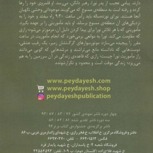 دختری که صورتش را جا گذاشت