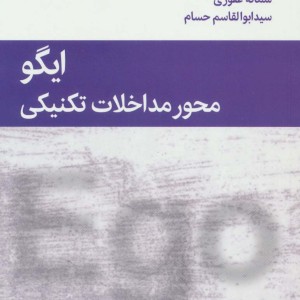 ایگو محور مداخلات تکنیکی
