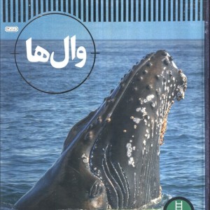 وال ها
