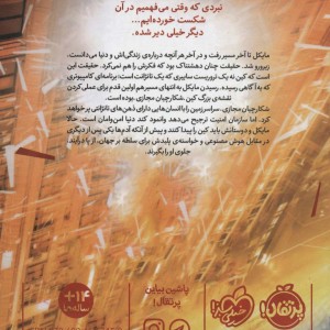 شکارچیان مجازی 2