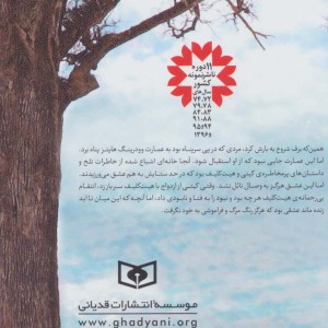 بلندی های بادگیر نشر قدیانی