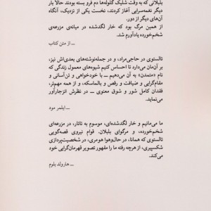 حاجی مراد نشر کتاب پنجره