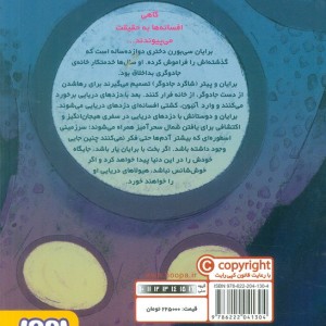 دزدان دریایی تصادفی 1