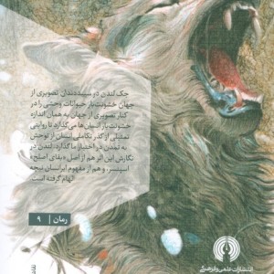 سپید داندان
