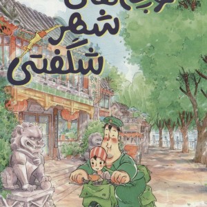 کوچه شهر شگفتی