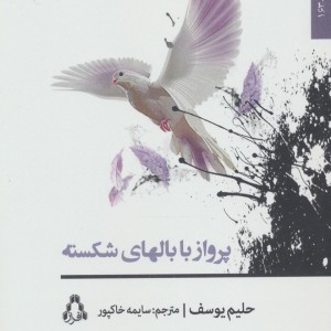 پرواز با بالهای شکسته