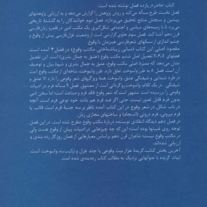 صد سال عشق مجازی