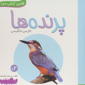 پرنده ها از اولین کتاب من