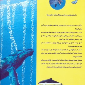 دانستنیهایی درباره نهنگ ها و دلفینها