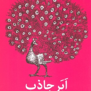 ابر جاذب