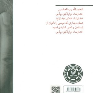 من قاسم سلیمانی ام