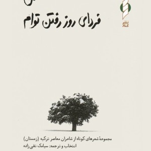 من فردای روز رفتن توام