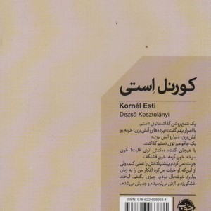 کورنل استی