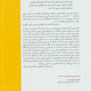 شور خرد