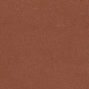 کتاب دیوان و فالنامه حافظ