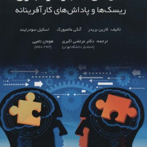 مدل های کسب و کار مجازی - کارین بریدر