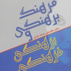 کتاب فرهنگ برهنگی و برهنگی فرهنگی