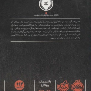 کتاب قصه گوی جنگل سیاه اثر کریستین مک کی هایدکر