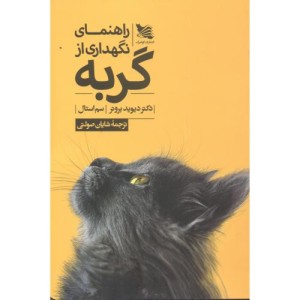 راهنمای نگهداری از گربه