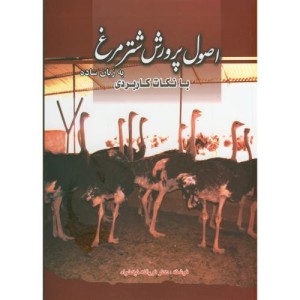 اصول پرورش شترمرغ به زبان ساده با نکات کاربردی