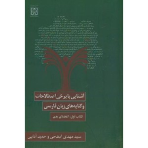 کتاب برخی اصطلاحات و کنایه های زبان فارسی