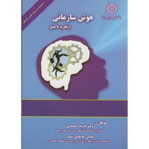 کتاب هوش سازمانی از نظریه تا عمل