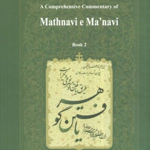کتاب شرح جامع مثنوی معنوی دفتر دوم