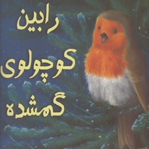 رابین کوچولو گمشده