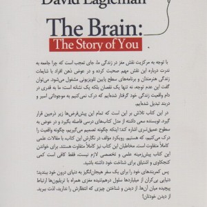 مغز زندگی ما چگونه شکل می گیرد