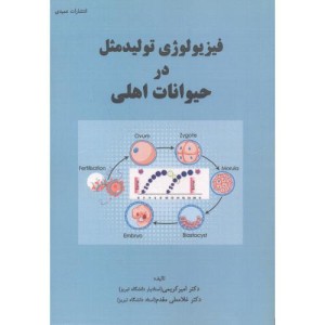 آموزش گام به گامWORD