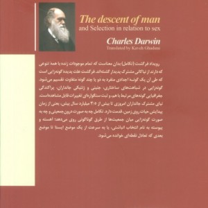 تبار انسان