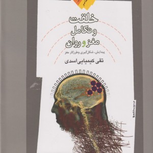 خلقت و تکامل مغز و روان