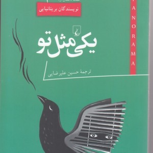 پانوراما 17 یکی مثل تو