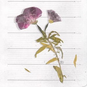 رسم عاشق کشی قطع رقعی - علی موذنی
