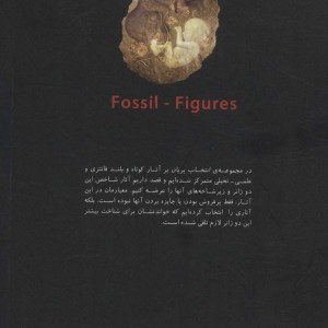 تصاویر فسیلی