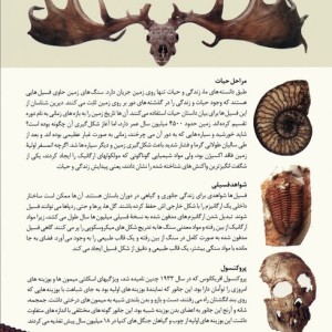 تاریخچه پیدایش حیات
