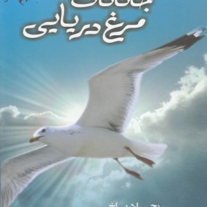 کتاب جاناتان مرغ دریایی دو زبانه
